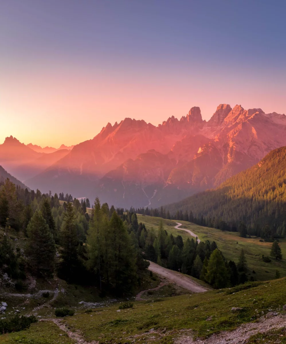 To może Cię zainteresować. Jak zadbać o rośliny domowe profesjonalnie