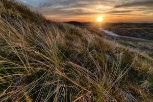  dbać o zdrowie i urodę w 2023?